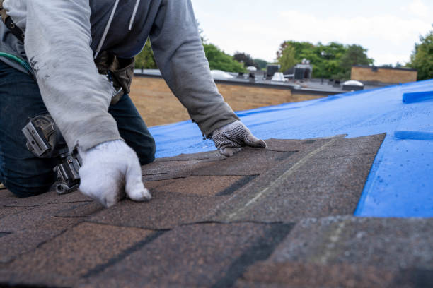 Best Storm Damage Roof Repair  in Golden Meadow, LA